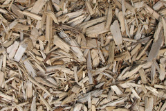 biomass boilers Sardis